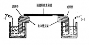 电泳仪产品分类