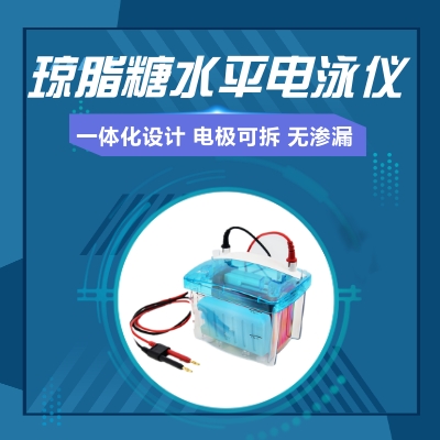 水平电泳仪一体化设计电极可拆无漏液