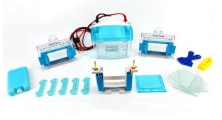 蛋白垂直电泳仪在生物科学实验中有着广泛的应用