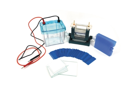 核酸电泳仪和蛋白电泳仪都是常用的分离分析工具