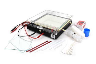 等电聚焦电泳仪(isoelectric focusing electrophoresis,IEC)是一种常用的分子生物学实验技术,