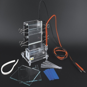 DYCZ-23A型小型单垂直电泳仪是一款先进的实验室设备，用于DNA、RNA、蛋白质等生物大分子的分离和检测