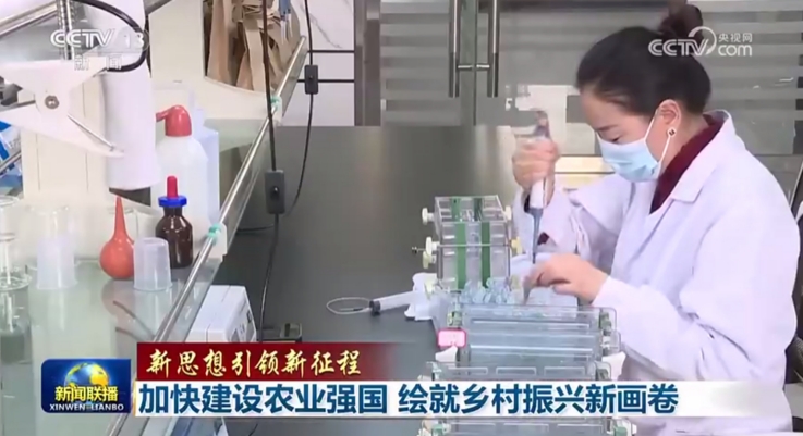 六一电泳池在中国市场很受欢迎