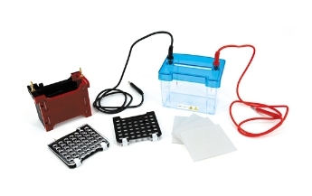 迷你转印电泳仪作为一种常用于分子生物学研究的实验仪器